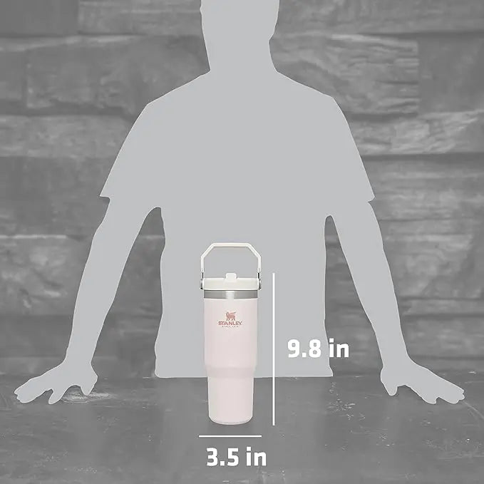 Stainless Steel STANLEY IceFlow Tumbler with Straw - YGSHOP