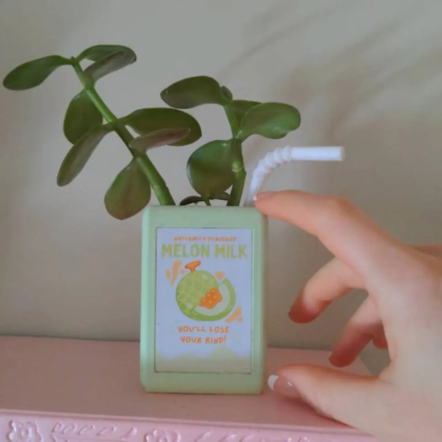 Juice Box-Shaped Flower Pot - YGSHOP