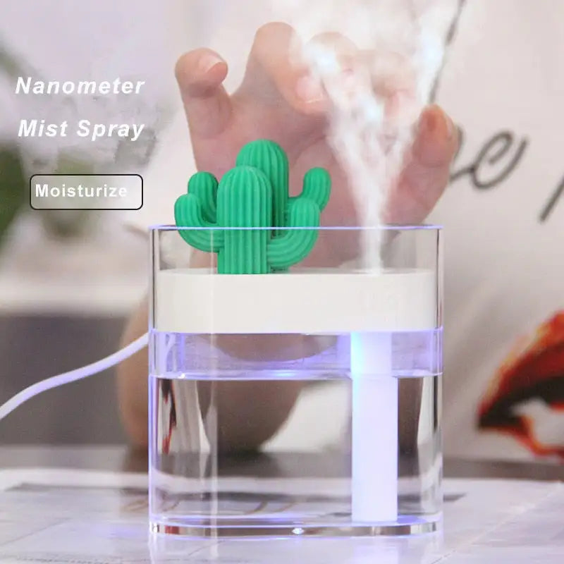 Clear Cactus Humidifier - YGSHOP