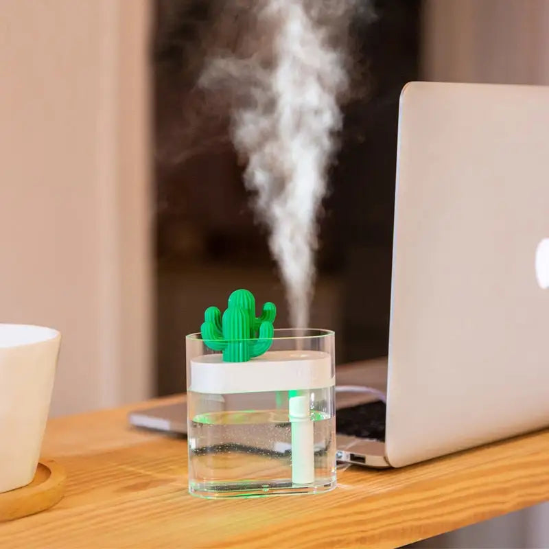 Clear Cactus Humidifier - YGSHOP