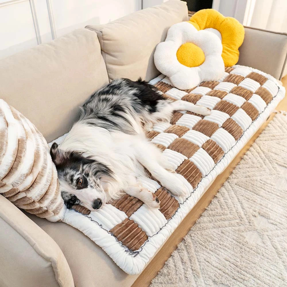 Stylish Anti-Hair and Anti-Scratch Mat - YGSHOP