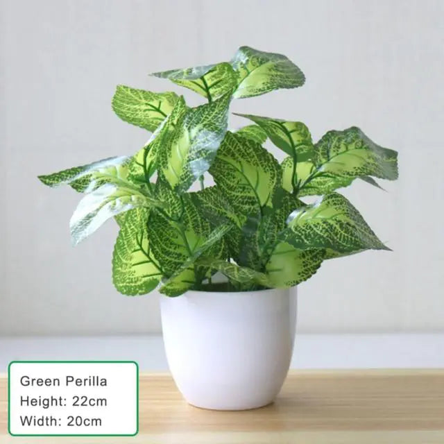 Artificial Succulent Plant - YGSHOP