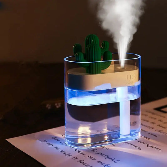 Clear Cactus Humidifier - YGSHOP