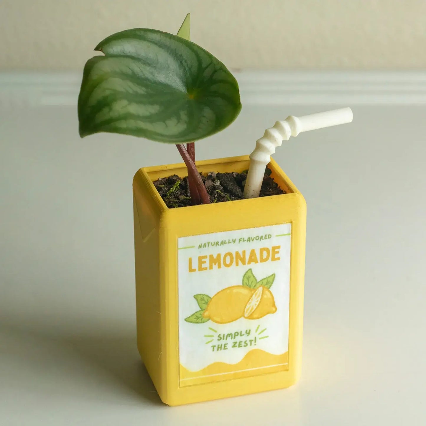 Juice Box-Shaped Flower Pot - YGSHOP
