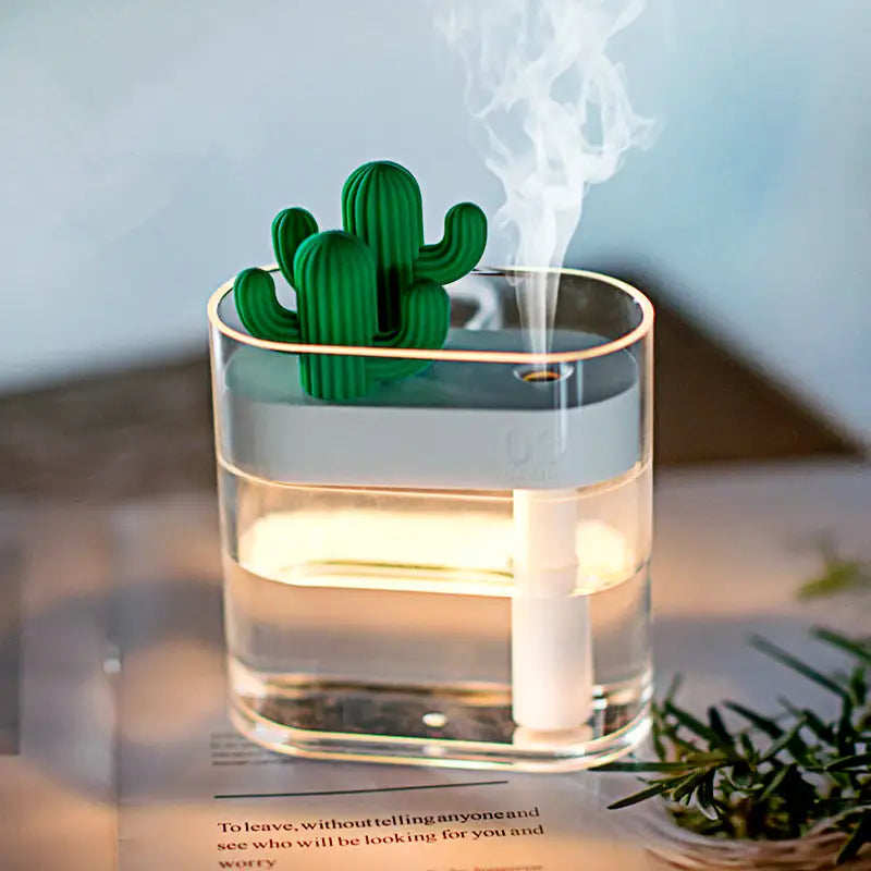 Clear Cactus Humidifier - YGSHOP