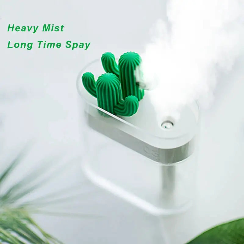 Clear Cactus Humidifier - YGSHOP