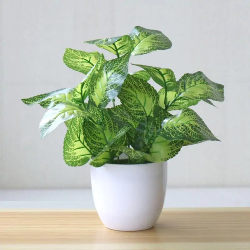 Artificial Succulent Plant - YGSHOP