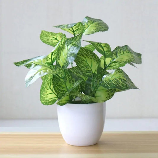 Artificial Succulent Plant - YGSHOP