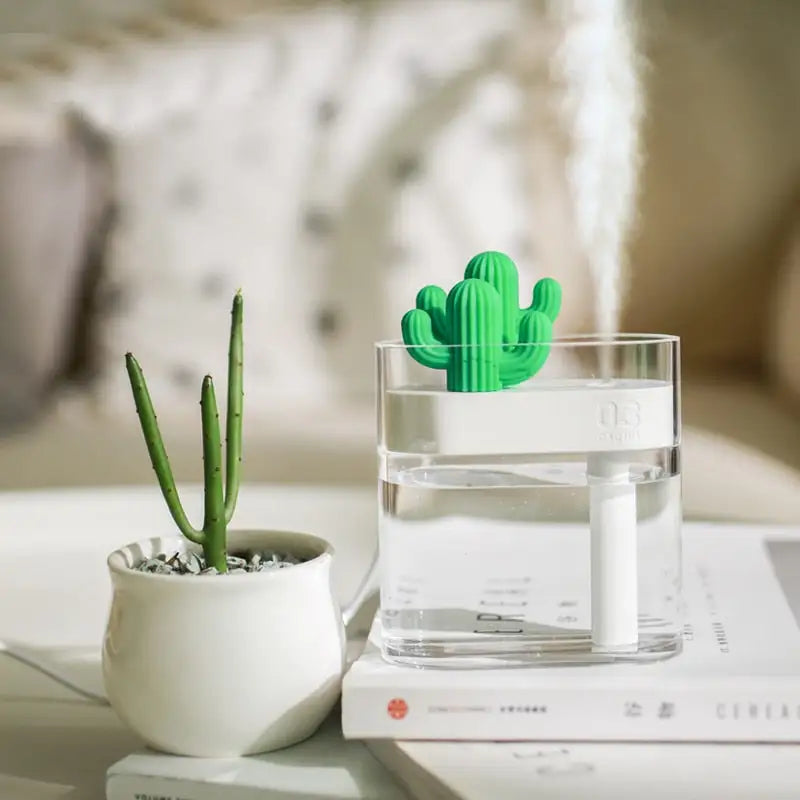 Clear Cactus Humidifier - YGSHOP