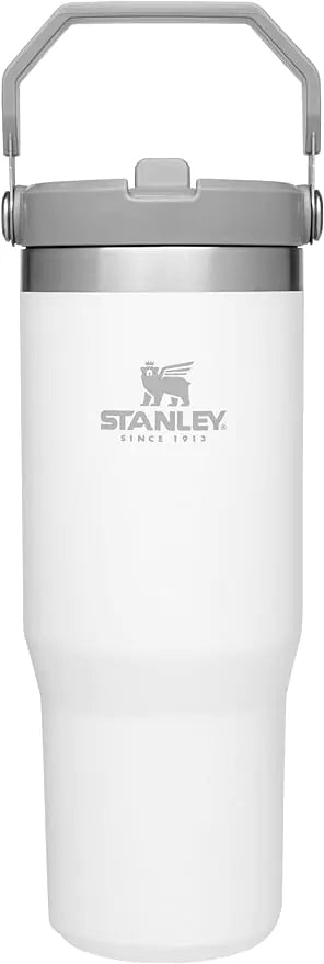 Stainless Steel STANLEY IceFlow Tumbler with Straw - YGSHOP