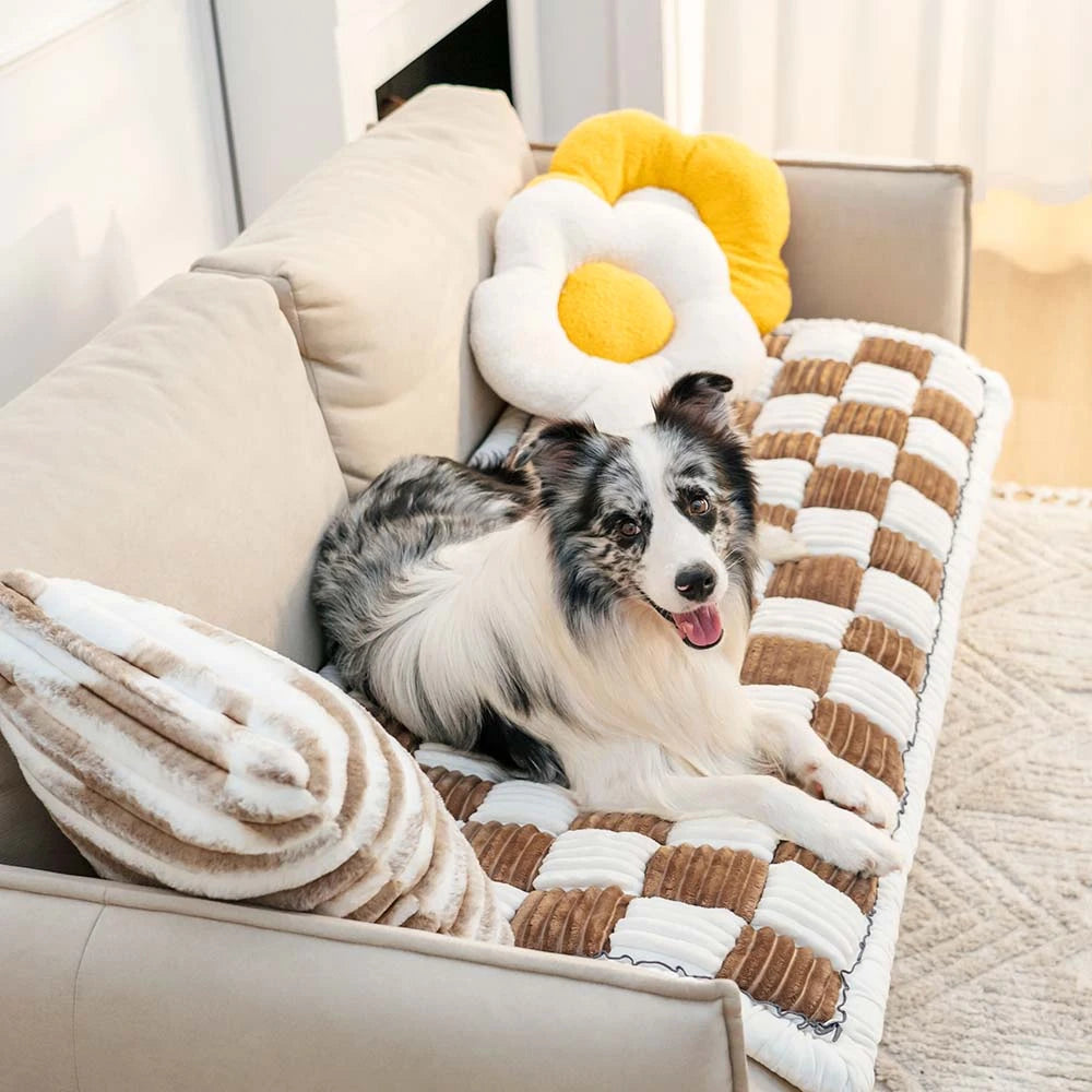 Stylish Anti-Hair and Anti-Scratch Mat - YGSHOP