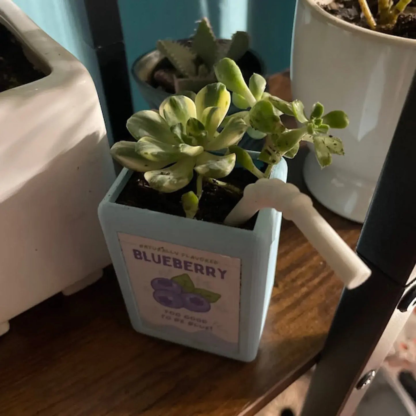 Juice Box-Shaped Flower Pot