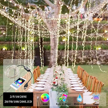 Bluetooth LED String Lights