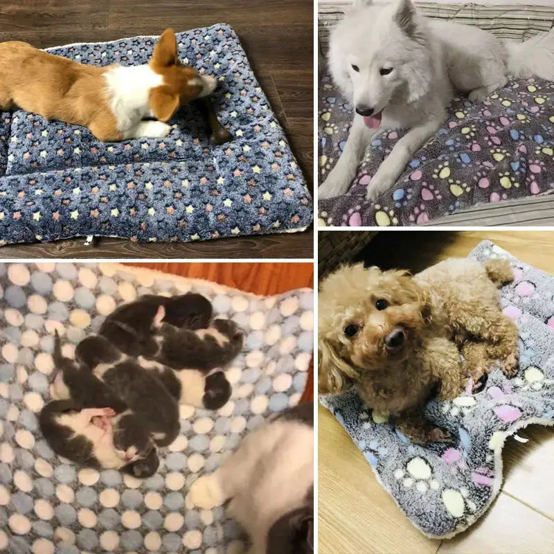 Soft Coral Sleeping Pet Blanket - YGSHOP