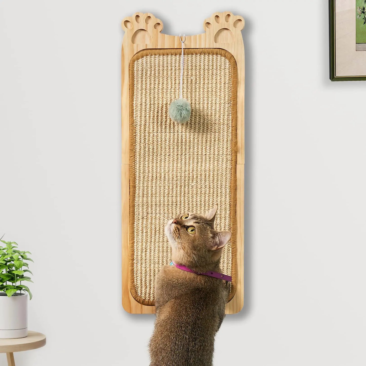 Home improvement and Decor